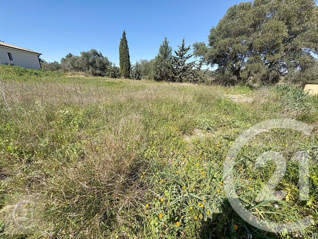 Terrain &agrave; vendre - 710 m2 - Cazouls Les Beziers - 34 - LANGUEDOC-ROUSSILLON