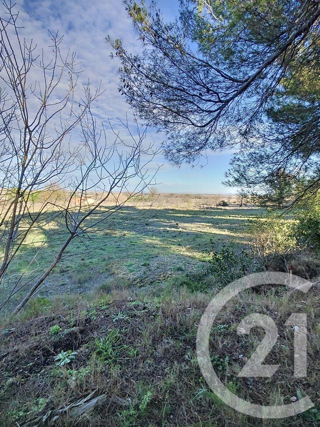 terrain - LESPIGNAN - 34