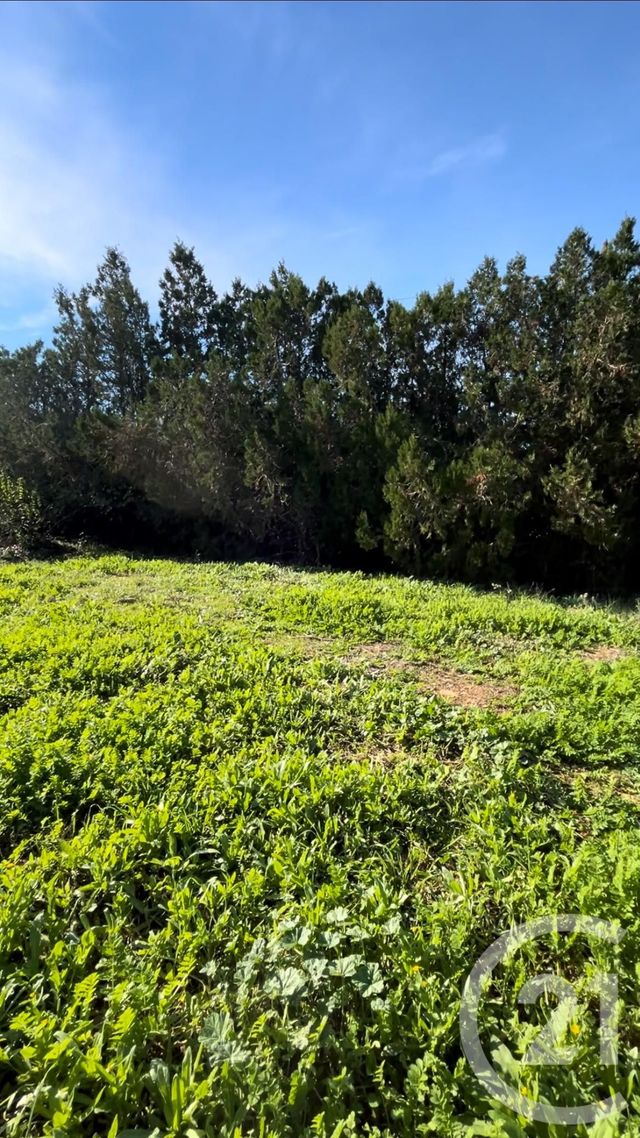 Terrain à vendre - 568 m2 - Beziers - 34 - LANGUEDOC-ROUSSILLON