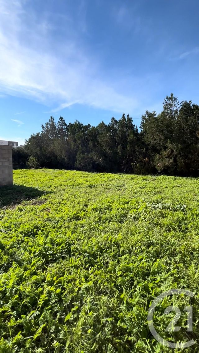 Terrain à vendre - 568 m2 - Beziers - 34 - LANGUEDOC-ROUSSILLON