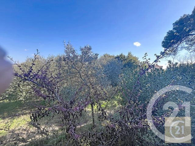 Maison &agrave; vendre - 4 pi&egrave;ces - 101 m2 - Murviel Les Beziers - 34 - LANGUEDOC-ROUSSILLON