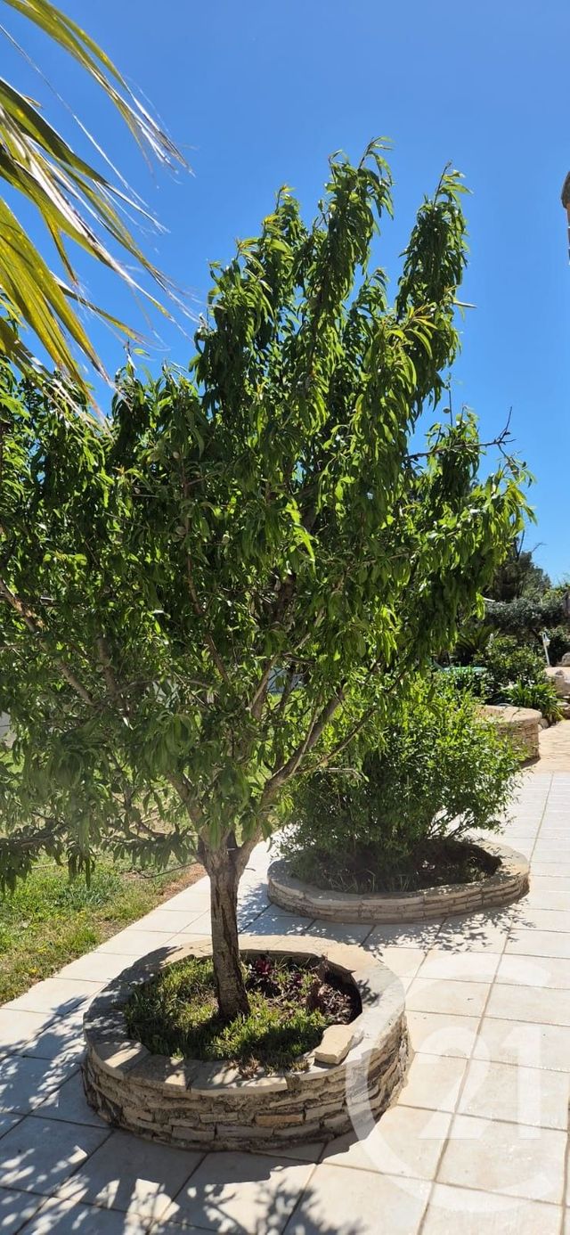 Maison &agrave; vendre - 6 pi&egrave;ces - 196 m2 - Beziers - 34 - LANGUEDOC-ROUSSILLON