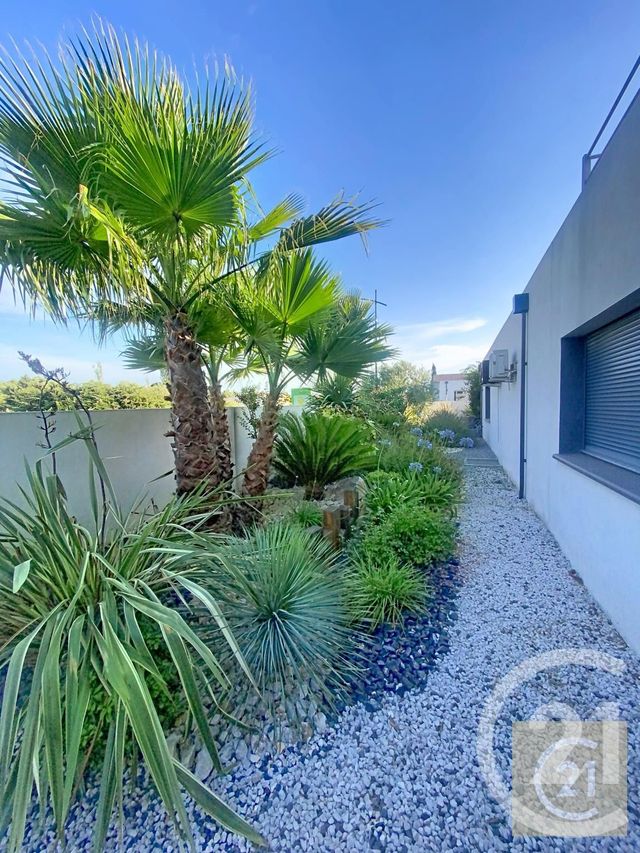Maison &agrave; vendre - 9 pi&egrave;ces - 368 m2 - Abeilhan - 34 - LANGUEDOC-ROUSSILLON